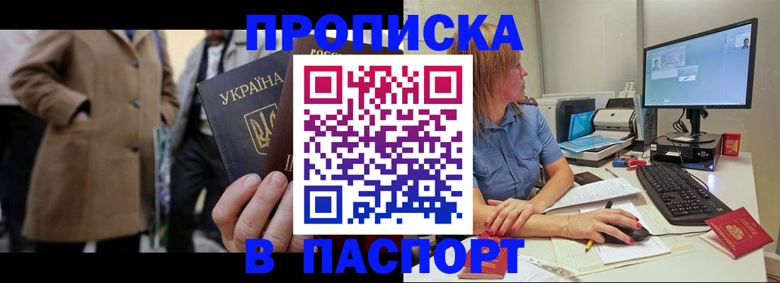 прописка штамп в Шилке